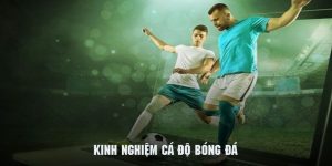 kinh nghiệm cá độ bóng đá qq88